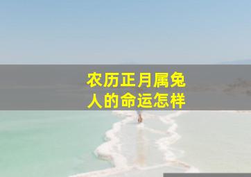 农历正月属兔人的命运怎样,属兔阴历正月出生的命运