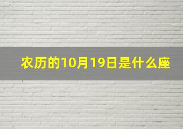 农历的10月19日是什么座,农历10月19日出生是什么星座