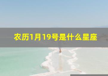 农历1月19号是什么星座,03年阴历1月19是什么星座