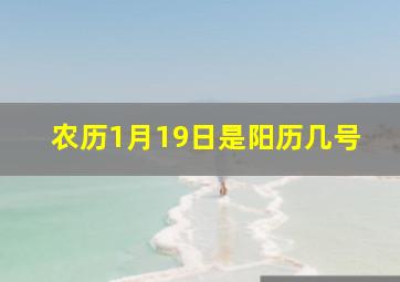 农历1月19日是阳历几号,农历1月19日是阳历几号呢