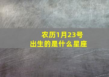 农历1月23号出生的是什么星座,农历1998年1月23是什么星座