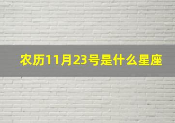 农历11月23号是什么星座,农历六月24是什么星座