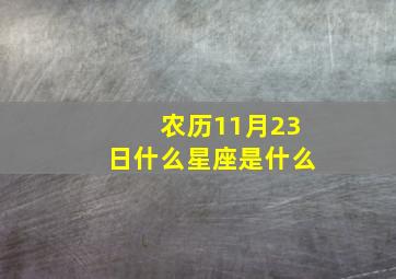 农历11月23日什么星座是什么,农历11月23日是什么日子好不好