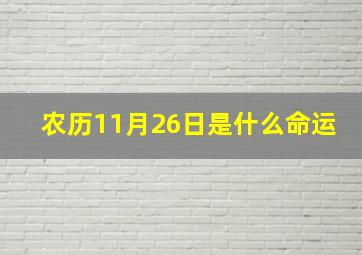 农历11月26日是什么命运,农历11月26日是属什么