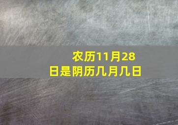 农历11月28日是阴历几月几日,2018年11月28日农历是什么时候