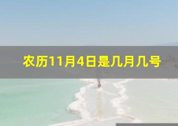 农历11月4日是几月几号,农历11月4日阳历是什么时候