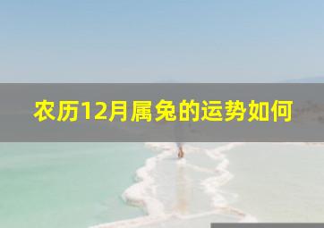 农历12月属兔的运势如何,2023年出生的兔宝宝几月最好农历10月做生意财运好