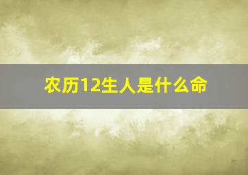 农历12生人是什么命,农历12日生