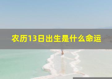 农历13日出生是什么命运,出生在哪几天是富贵命农历十三特立独行