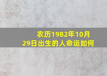 农历1982年10月29日出生的人命运如何,1982年10月29日农历是多少