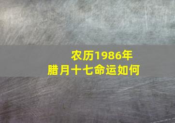 农历1986年腊月十七命运如何