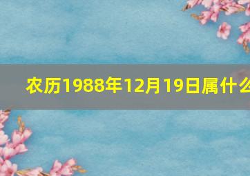 农历1988年12月19日属什么,1988年农历十二月十九是什么星座