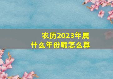 农历2023年属什么年份呢怎么算,2023年是属于什么年