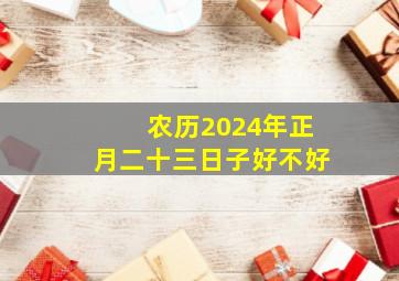 农历2024年正月二十三日子好不好,2024年正月二十是几月几号