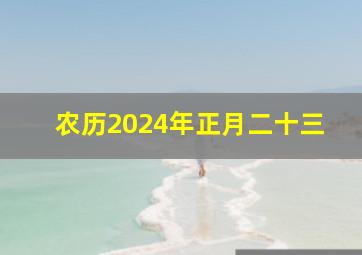 农历2024年正月二十三,农历2024年正月二十三是好日子吗