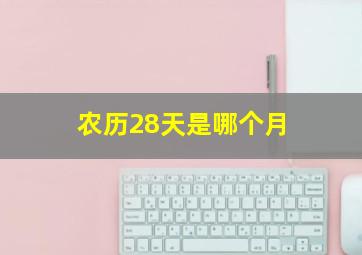 农历28天是哪个月,农历每个月是多少天