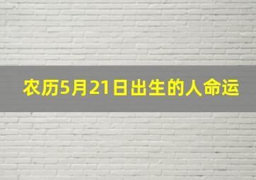 农历5月21日出生的人命运,2015年农历5月21日亥时出生的孩子属什么命