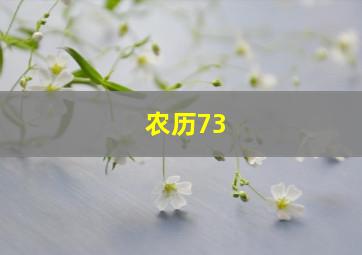 农历73,农历73年是什么年