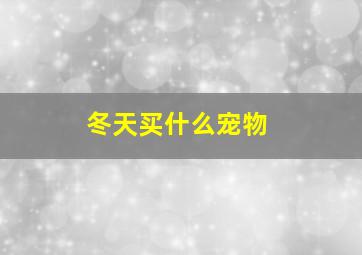 冬天买什么宠物,冬天养的小宠物