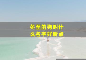 冬至的狗叫什么名字好听点