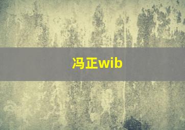 冯正wib,冯正和小美人鱼的小说