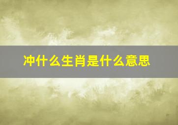 冲什么生肖是什么意思,生肖里面的冲谁是什么意思