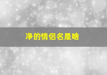 净的情侣名是啥,用净字起网名有意思的