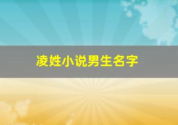 凌姓小说男生名字,姓凌的男孩名字高冷霸气