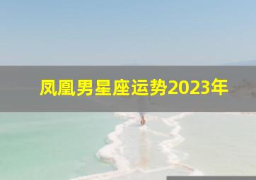 凤凰男星座运势2023年,2023年运势排行榜星座