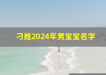 刁姓2024年男宝宝名字,刁姓男孩名字