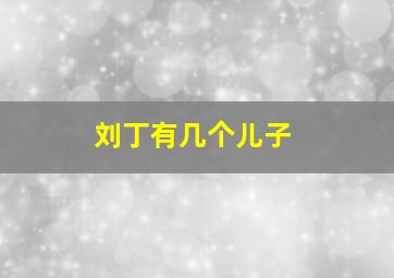 刘丁有几个儿子,刘丁母亲王前