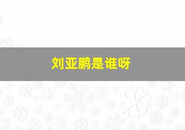 刘亚鹏是谁呀,再见李可乐主题曲