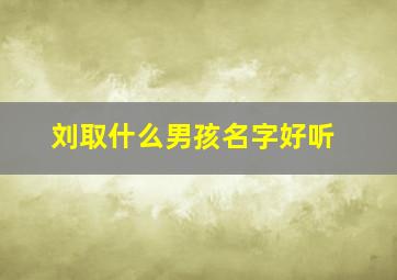 刘取什么男孩名字好听,姓刘的男孩取什么名字好听呢