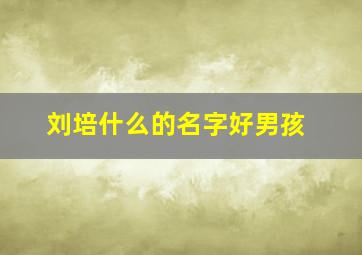 刘培什么的名字好男孩,刘姓培字辈