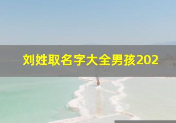 刘姓取名字大全男孩202,龙宝宝刘姓取名字大全男孩