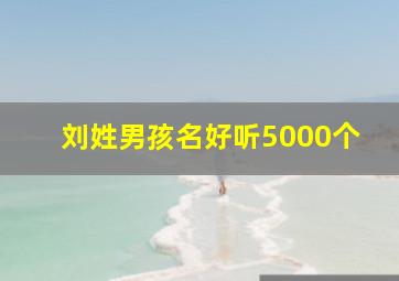 刘姓男孩名好听5000个