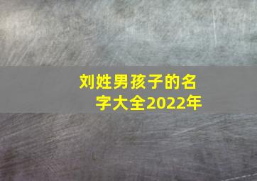 刘姓男孩子的名字大全2022年,刘姓起名字大全男孩