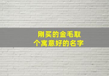 刚买的金毛取个寓意好的名字,刚买的金毛取个寓意好的名字可以吗