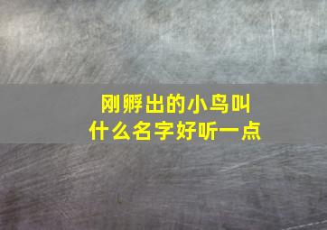 刚孵出的小鸟叫什么名字好听一点,刚孵出的小鸟叫什么名字好听一点呢