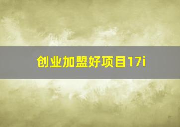 创业加盟好项目17i,开店加盟好项目