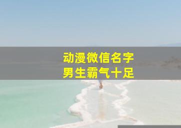 动漫微信名字男生霸气十足,动漫微信名字大全男生