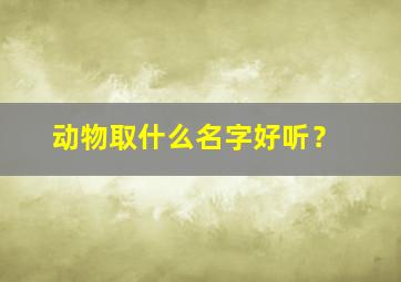 动物取什么名字好听？,动物起什么名字好