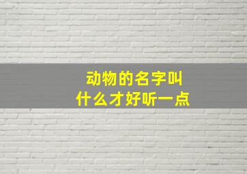 动物的名字叫什么才好听一点,动物名字叫什么好听?