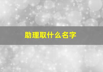 助理取什么名字,助理取什么名字比较好