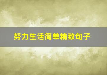 努力生活简单精致句子,生活简单精致句子日子简单过的唯美句子(61句)