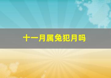 十一月属兔犯月吗,属兔十一月生人是什么命