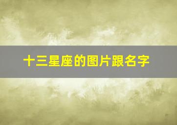 十三星座的图片跟名字,十三星座图片大全13张