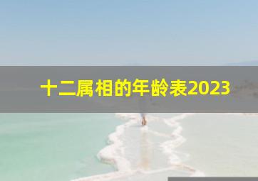 十二属相的年龄表2023,2023属牛的今年多大