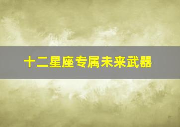 十二星座专属未来武器,十二星座专属武器变成人是什么样