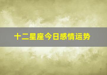 十二星座今日感情运势,十二星座今日感情运势查询